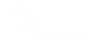 Redesan logo